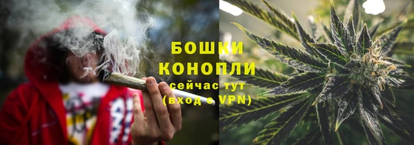 ГАЛЛЮЦИНОГЕННЫЕ ГРИБЫ Пересвет