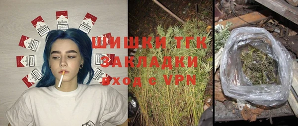 ПСИЛОЦИБИНОВЫЕ ГРИБЫ Переславль-Залесский