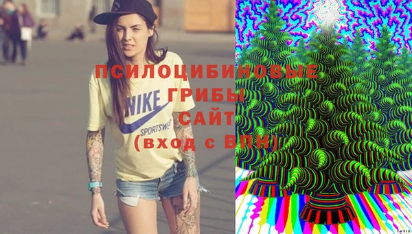 ПСИЛОЦИБИНОВЫЕ ГРИБЫ Переславль-Залесский